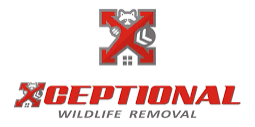 Xceptional Wildlife Marketing